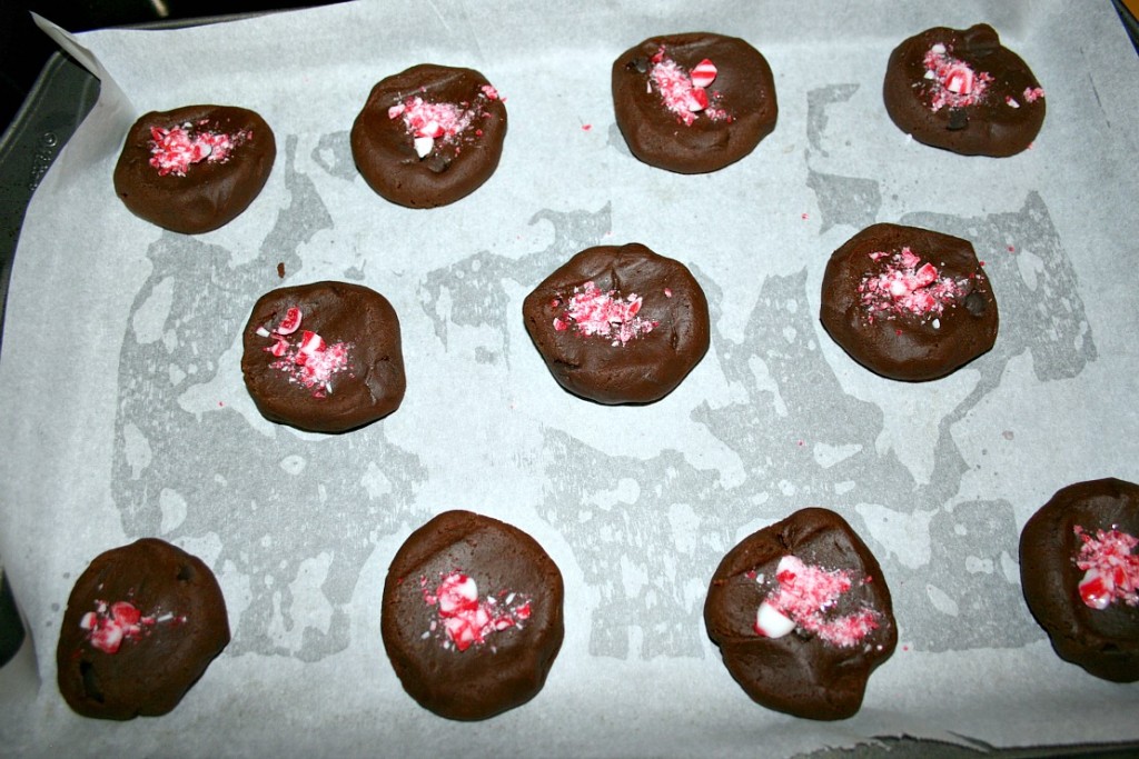 peppermint chocolate chip mocha cookies