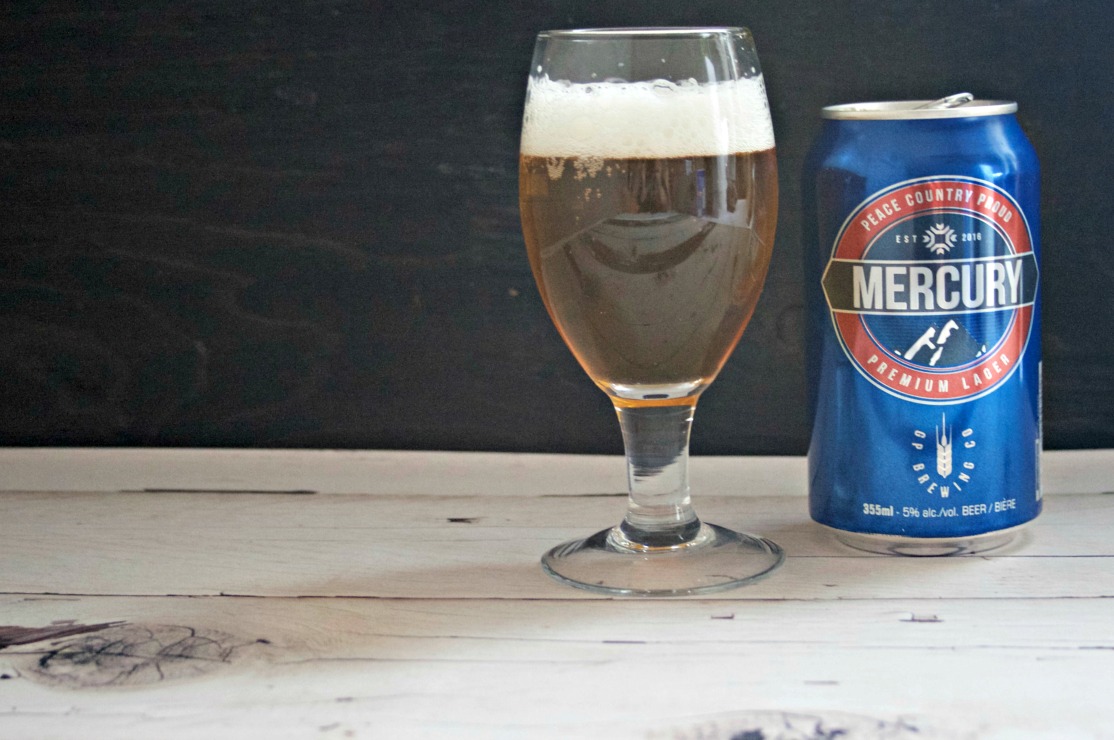 Chicken Pasta in Creamy Pasta Sauce