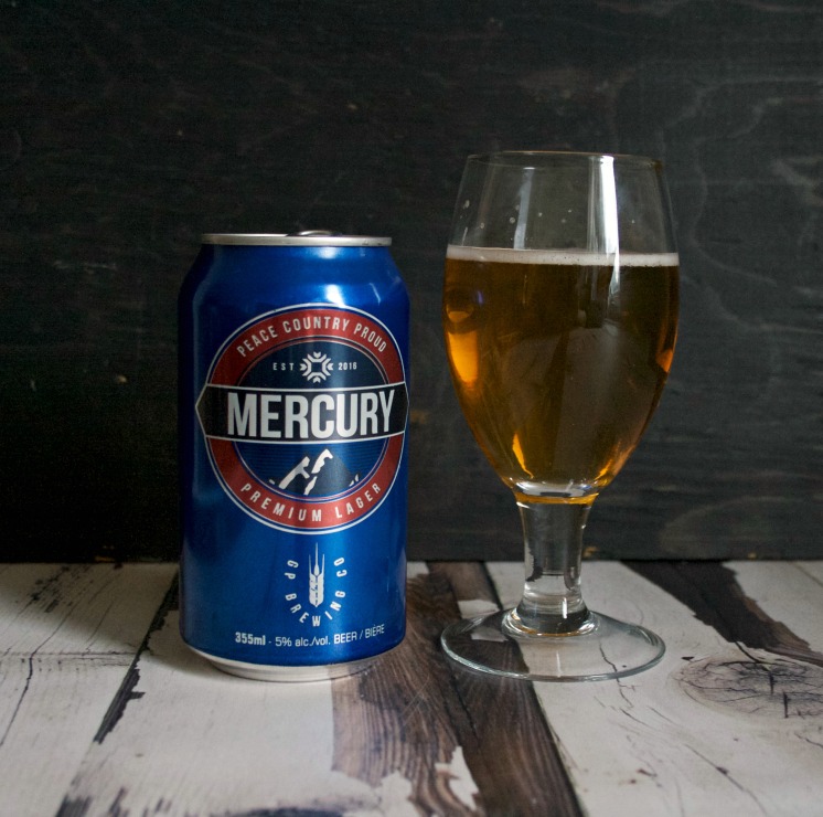 Chicken Pasta in Creamy Beer Sauce